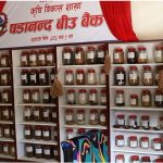 Seed bank to preserve indigenous agro seeds in northern Bhojpur
