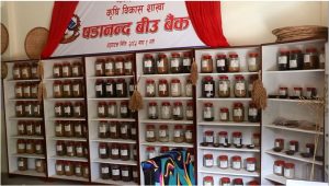 Seed bank to preserve indigenous agro seeds in northern Bhojpur