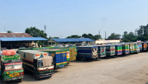 India drops mandatory tea inspection, clearing path for Nepali exports