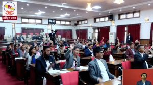 NA passes Intangible Cultural Heritage (Conservation) Bill