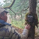Camera trapping to identify condition of endangered red panda in Dhaulagiri