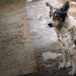 12 dog cruelty cases in a month as Nepal Police finally act
