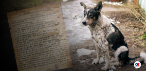 12 dog cruelty cases in a month as Nepal Police finally act