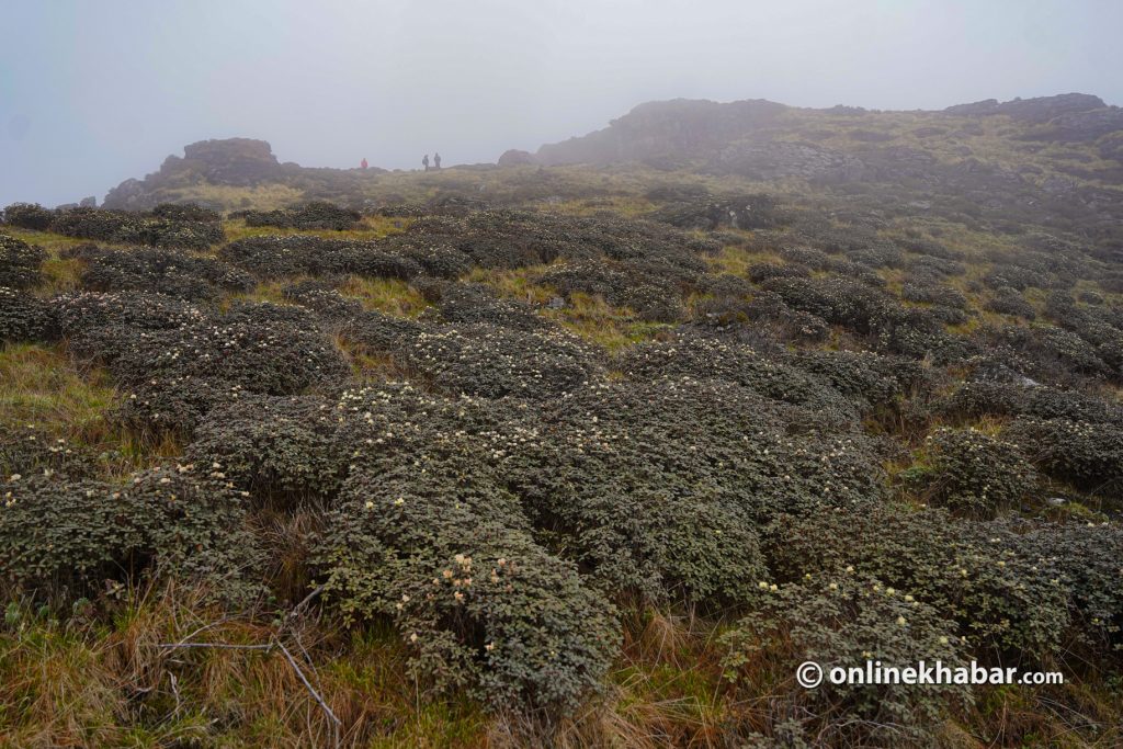 Discovering Chhyadi Ghyang, the village above the clouds