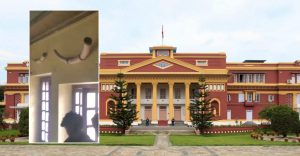 Elephant tusks stolen from the President’s Office