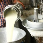 Toxic additives in milk raise alarm over public health risks