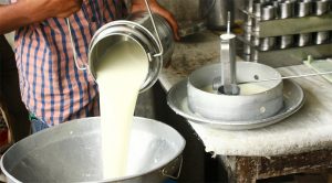 Toxic additives in milk raise alarm over public health risks