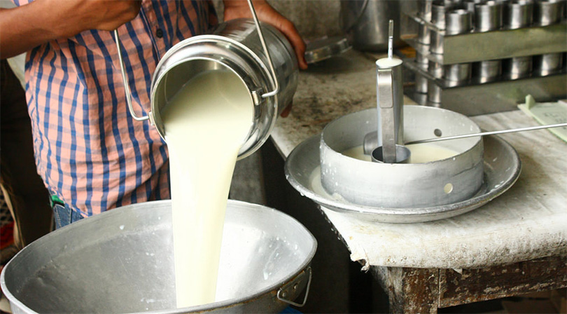 Toxic additives in milk raise alarm over public health risks