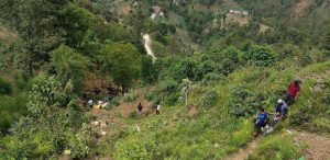Kavre bus accident leaves seven dead and 15 injured
