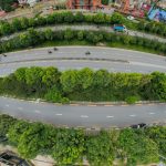 Greenery lines Lalitpur’s ring road (Photos)