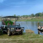 Chitwan National Park sees more tourists but less revenue