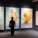 Samaveta: A collective vision of Nepal’s emerging artists