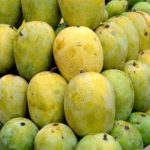 5 ways to safely store a large quantity of mangoes