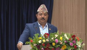 Business confidence at 36-year low, says FNCCI President Shrestha