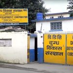 DDC’s ghee export push faces questions over domestic supply and farmer payments