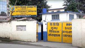 DDC’s ghee export push faces questions over domestic supply and farmer payments