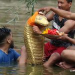 Naag Panchami today: Religious, cultural and environmental significance