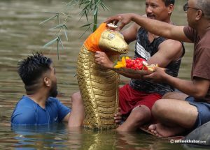 Naag Panchami today: Religious, cultural and environmental significance