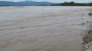 Trishuli water level rises 3 metres above danger mark amid heavy rainfall