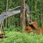 Why is the govt temporarily burying unidentified bodies recovered from Rasuwa floods?