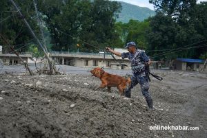 289 bodies recovered from Bhotekoshi-Trishuli flood disaster