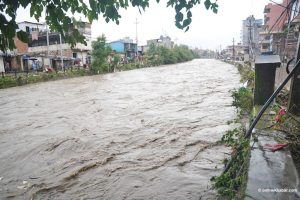 Bishnumati water level nears danger mark as heavy rain lashes Kathmandu