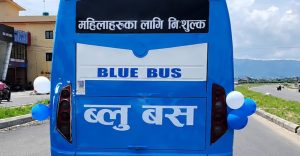 Promised ‘blue buses’ still off the road as govt approval remains pending