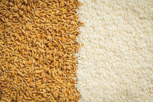 Nepal imports rice and paddy worth nearly Rs 1.8 billion in a month