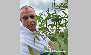 Hari Bansha Acharya begins planting in his ancestral village