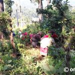 Controlling floods and landslides using Chepang knowledge