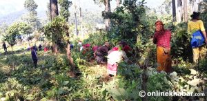 Controlling floods and landslides using Chepang knowledge