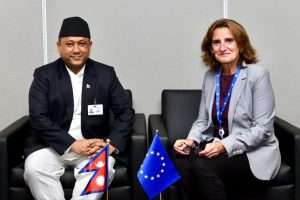 Foreign Minister Khanal holds talks with Bhutanese PM, EU vice-president in New York