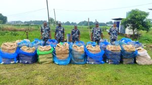 7,000 broiler chicks seized near Morang border