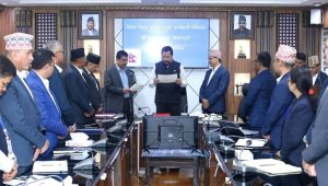 Newly appointed NEA Managing Director Shrestha takes oath