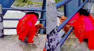 Police searching for woman who threw dog into Seti River