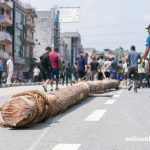 Indra Jatra pole brought to Bhaktapur from Kavre’s Nala forest