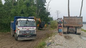 Big boulders placed to curb Narayani River erosion in Chitwan