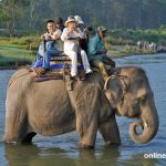 The Thrill of an elephant safari in Chitwan (Photos)