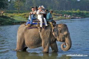 The Thrill of an elephant safari in Chitwan (Photos)