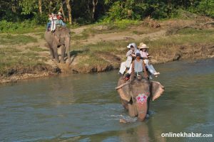 20,000 tourists visit Chitwan during Dashain, revenue Rs 17.6 million