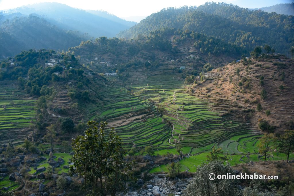 Dadeldhura 