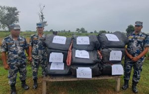 152 kg of marijuana seized from Jhanjhpatti in Siraha