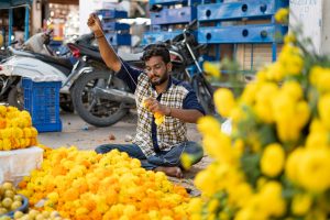 Jhapa flower farmers urge authorities to restrict imports of Indian marigolds