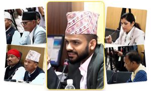 Lawmakers question Agriculture Ministry over fertiliser shortage and distribution system
