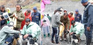 Dog trapped in Budhigandaki flood rescued after 20 days