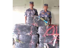 210 kg of marijuana seized from rice field in Morang