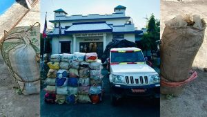 Man arrested with 1,040 kg of marijuana in Udayapur
