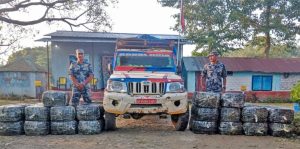 570 kg of marijuana seized from vegetable-laden vehicle in Morang