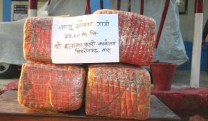 One arrested with 55 kg of marijuana