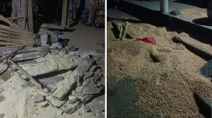 Wild elephant terrorises Parsa’s Thori, two injured while fleeing